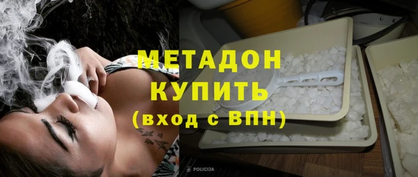 гашик Алексин