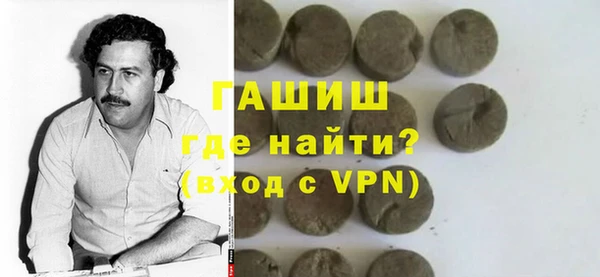 гашик Алексин