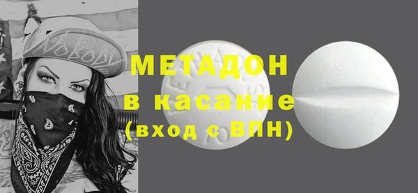 гашик Алексин