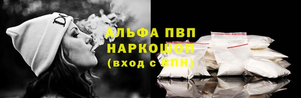 гашик Алексин