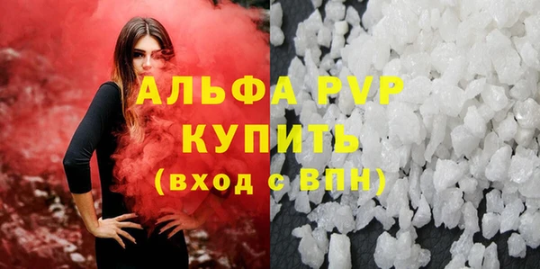 гашик Алексин